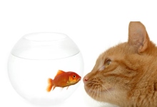 Keep customers happy